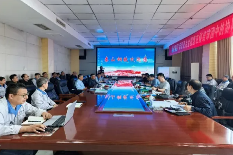 山东省钢铁行业协会召开“赤泥及冶金固废在烧结球团中的协同治理与应用实践”等十个项目科技成果评价会